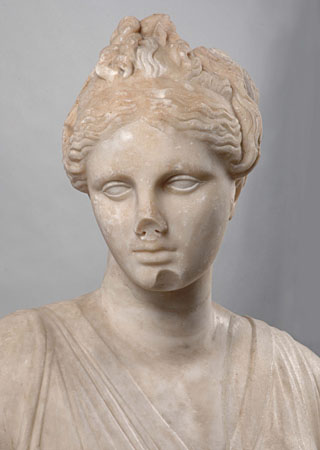 Testa femminile